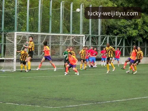 维基体育最新版本 vs 旧版本：新手该选哪个？——功能、安全与操作全面对比
